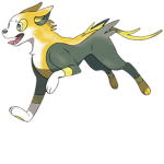 boltund dash