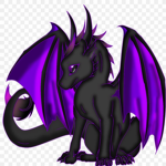 midnight dragons group