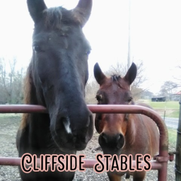 Cliffside Stables