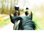 horse lovers forever!!!!!!!!!!!!<3