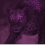 Official Jaguar group