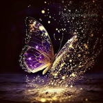 - the butterfly’s -