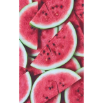 Watermelon Clothes shop