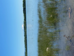 Mount Saint Lakes Ranking