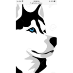 The huskies group!! :D