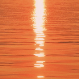 ☀︎