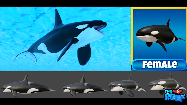 Thumbnail removed
