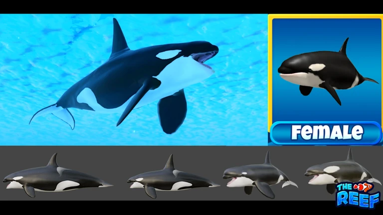 Thumbnail removed