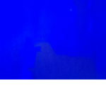 Nette robux Gruppe