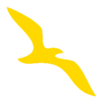 [US] FlyUAL