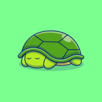 THE ULTIMATE TURTLE NATION