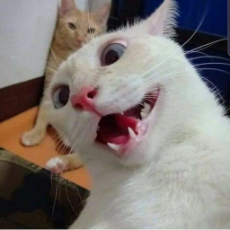 Horror Game