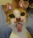 libbles stuff!