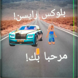 بلوكس ريسن