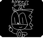 Ameers Group