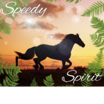Speedy Spirit Riding Academy