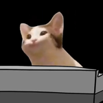 Pop Cat Company