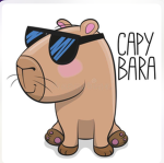 Kool kapybaras