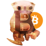 Bitcoin Bingus