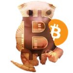 Bitcoin Bingus