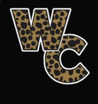 * WORLD CUP ALL STARS CHEER TEAM GROUP *