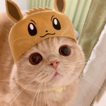 Kite_YT