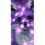 Welcome to Fox fans