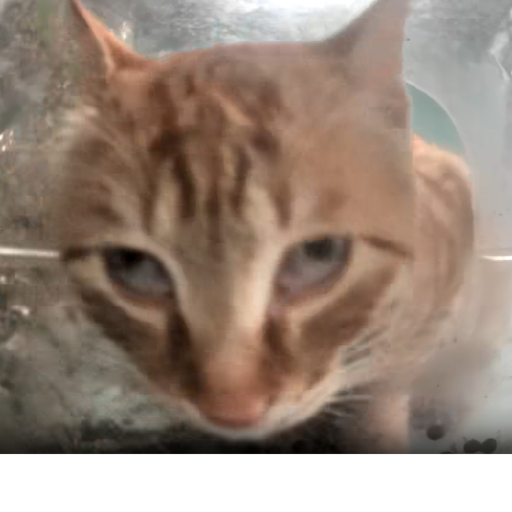 TF2 and Forsaken sad story and PvP (007N7 DIES)