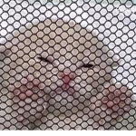 ### 13