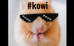 Kowi jr