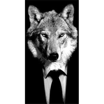 Mr.Wolf Place (NO HUMANS ALLOWED)