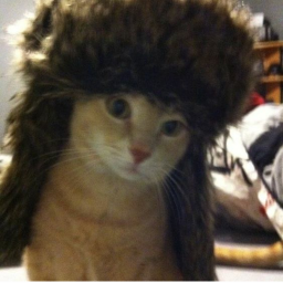 My Real Life Home