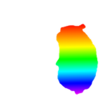 Rainbow Chomik