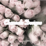 CelestialDanceAcademy