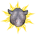 Fellowship of the Pig