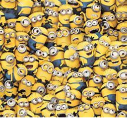 train to become a cool minion