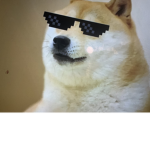 THE DAWGS doges
