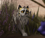 ~RAID~WCUE~FAN~CLUB~