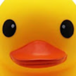 DanioDuck studio