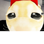 hhhhhhhhhhhhhhhhhhf