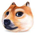 Doge buisness