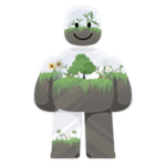 Terrarium Noobie