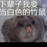 吃竹鼠模擬器2019