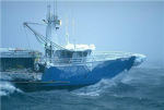F/V Umbra
