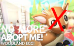 No More Adoptme!