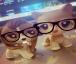 .sstarz