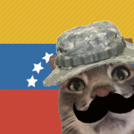 Venezuelan Gato Studios