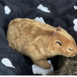 Sophia_gürMeineFreunde