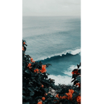 ʟ 0 ɴ ʟ ᴇ ʏ