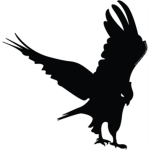 BlackHawk Recruitment Center